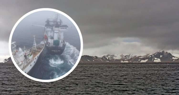 Foto de contexto de mar antártico chileno. Y captura de video del incidente.