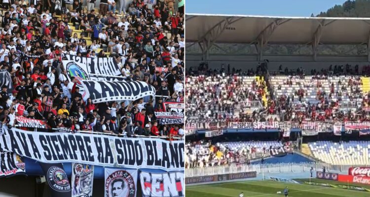 Hinchas de Colo COlo se traspasan de Andes a galería en el Ester Roa