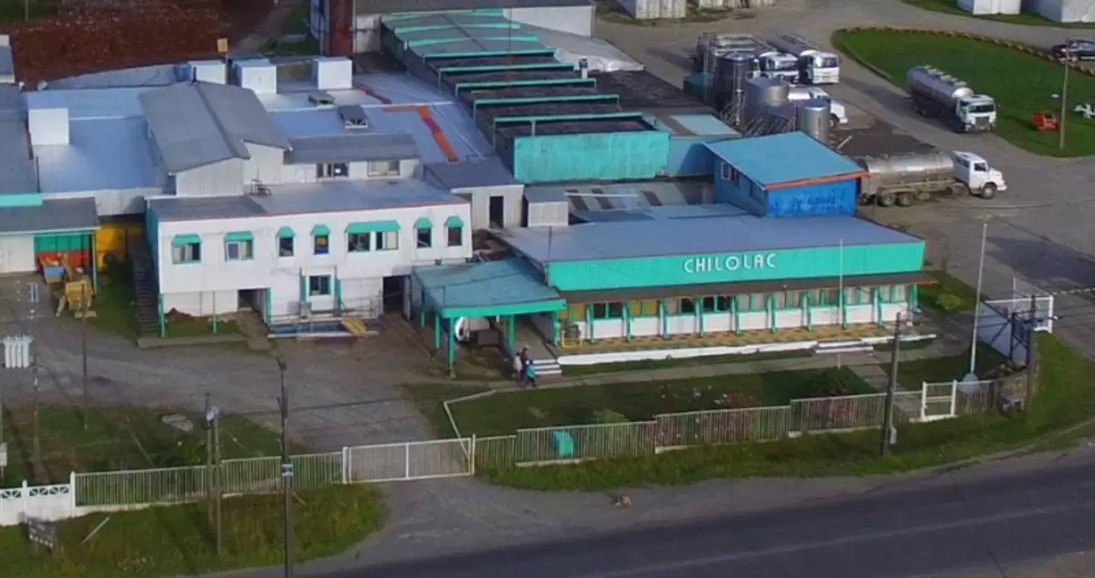 Histórica lechera Chilolac avanza a liquidación y extrabajadores denuncian meses sin sueldo