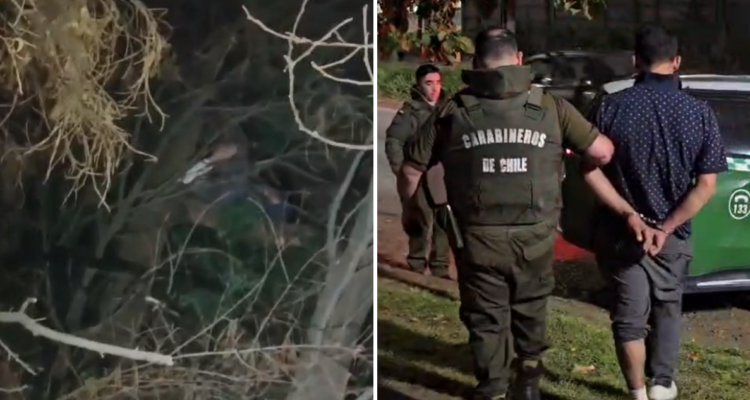 Hombre intentó escapar de Carabineros subiéndose a un árbol en Collipulli: estornudo lo delató