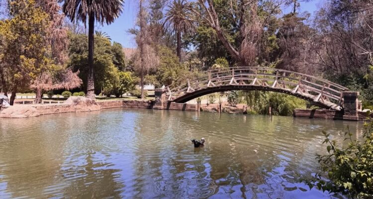 Jardín Botánico de Viña del Mar cierra acceso a laguna por caso de gripe aviar