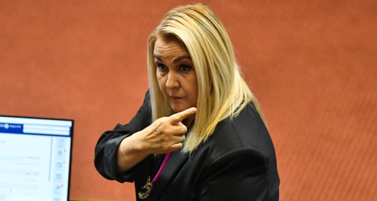 Jiles advierte al Gobierno: PDG rechazará la ley de Reconstrucción si no se firma proyecto Parisi 2030