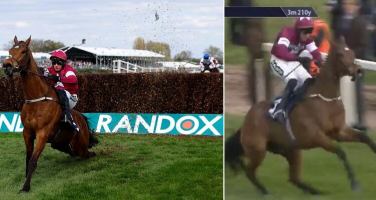 Un jinete ganó carrera pese a que su caballo se fracturó la espalda: lo azotó sobre el final y acabó sacrificado