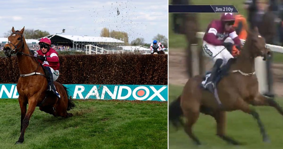 Un jinete ganó carrera pese a que su caballo se fracturó la espalda: lo azotó sobre el final y acabó sacrificado
