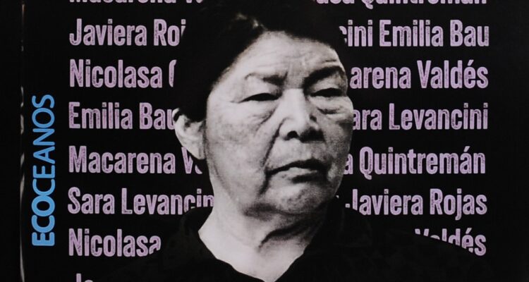 Un hacha, un machete y una llamada: los nuevos informes que enredan a los hijos de Julia Chuñil