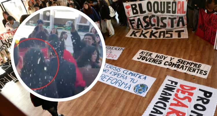 Protesta y agresión a ministra Lincolao.