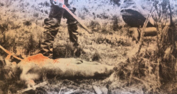 Karukinká, de Dionisio Seissus, LOM Ediciones