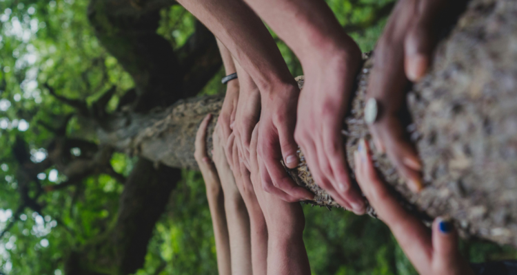Manos de personas sobre tronco de árbol