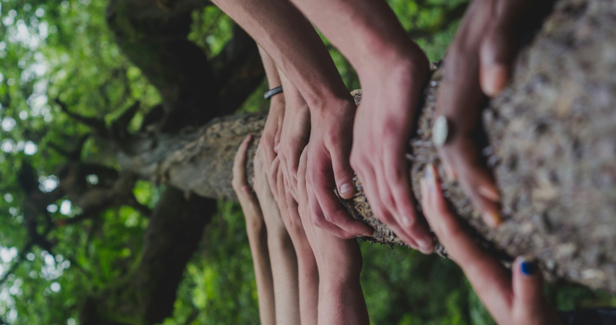 Manos de personas sobre tronco de árbol