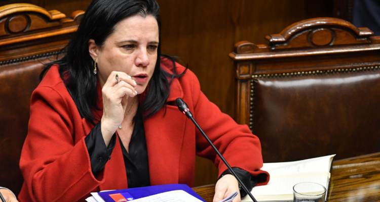 Ministra de Seguridad, Trinidad Steinert