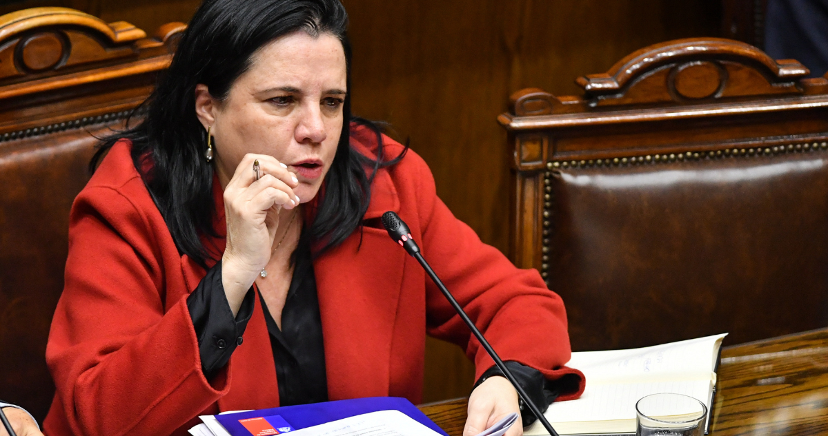Ministra de Seguridad, Trinidad Steinert