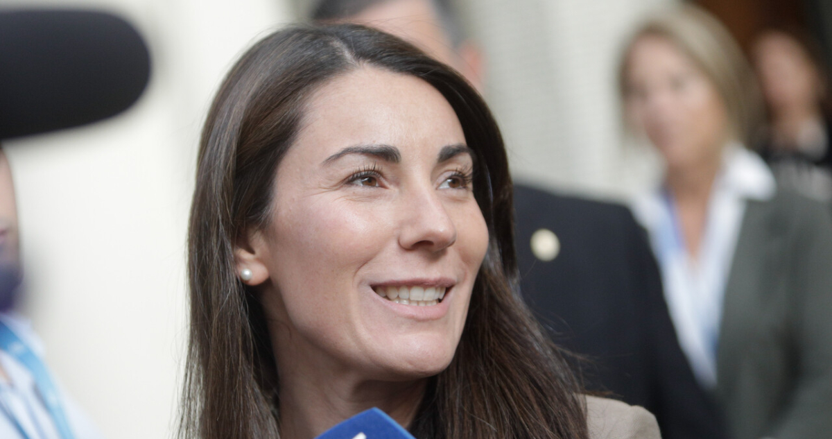 Mineduc valora Ley de Convivencia Escolar que permite detector de metales, pero advierte que “no basta”