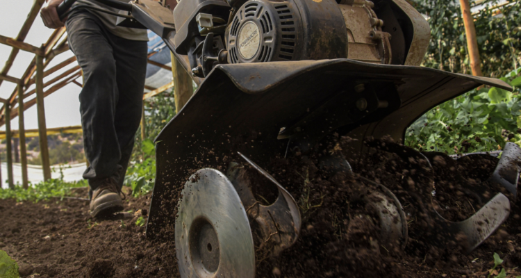 Araucanía: Gremios agrícolas reiteran que sector está en crisis y proyectan alza en costo de alimentos
