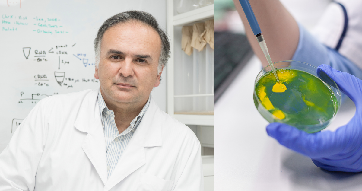 Chileno Martín Montecino destaca en el área de Biología Molecular del ranking mundial “Research.com”