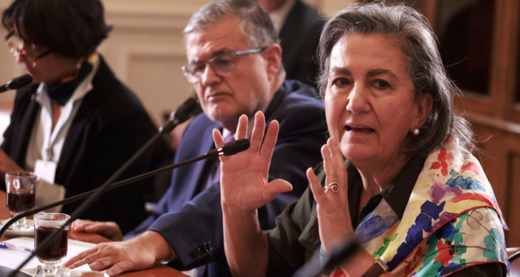 Ministra Chomali descarta falta de insumos y de horas de atención por recorte presupuestario en Salud