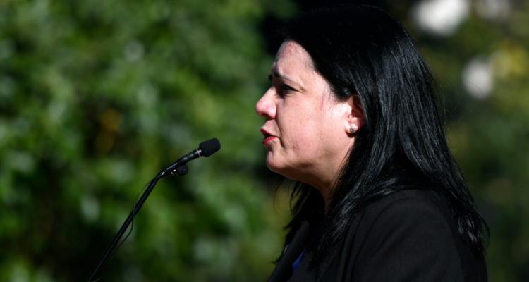 Ministra Steinert anuncia proyectos de ley de Seguridad