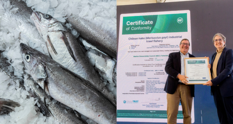 Empresa chilena PacificBlu obtiene certificación internacional MSC por pesca sustentable de merluza