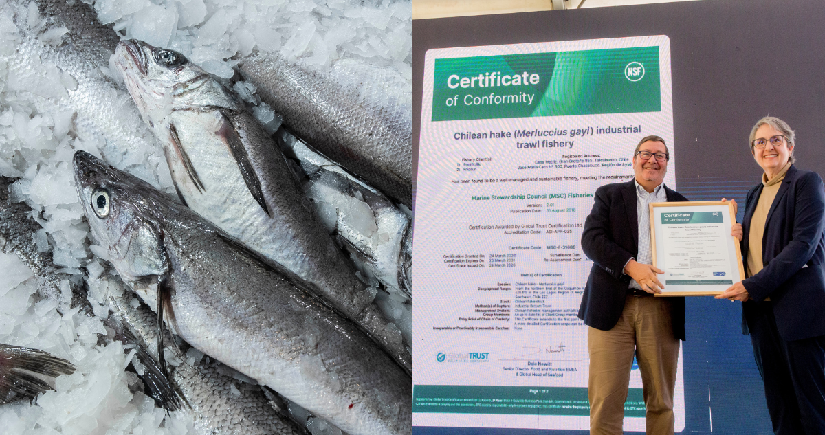 Empresa chilena PacificBlu obtiene certificación internacional MSC por pesca sustentable de merluza