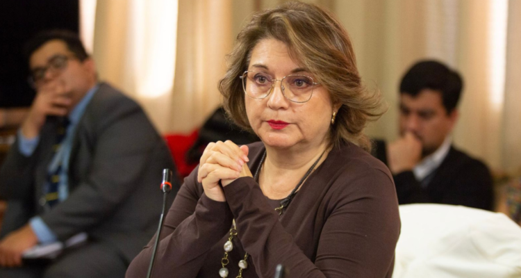 Parra (PPD) pedirá que Servel e INE asistan al Congreso para explicar la nueva distribución de escaños