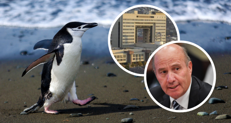 Foto de contexto de un pingüino, el Congreso Nacional y Jorge Quiroz