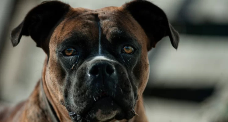 ARCHIVO | Agencia UNO