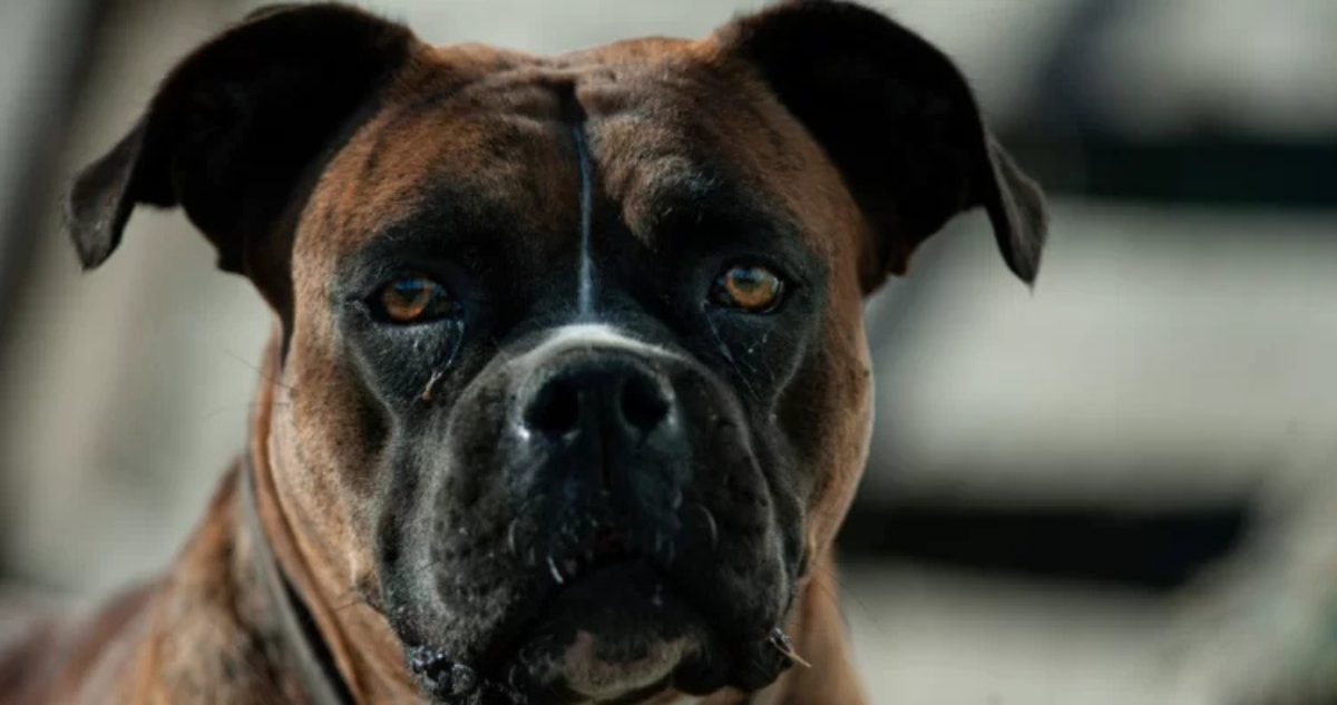 ARCHIVO | Agencia UNO