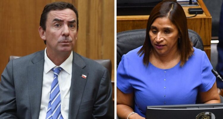 Senadora Campillai presidirá comisión de DDHH y cita a ministro Rabat por agenda del gobierno