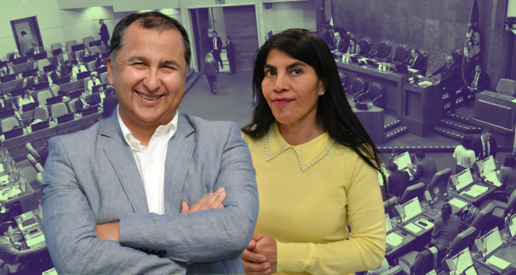 Rector UACh se excusó de participar en Comisión de Educación de la Cámara por agresión a Lincolao