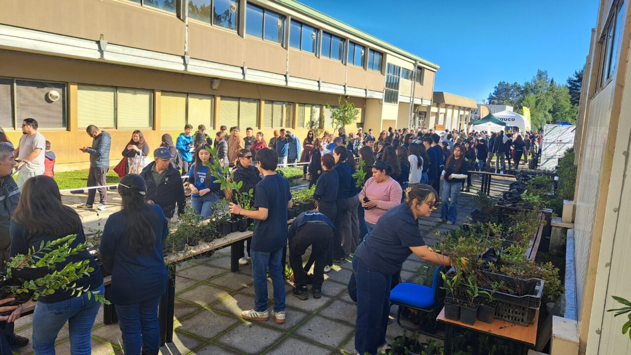 Facultad de Ciencias Forestales regalarán árboles nativos este 2026