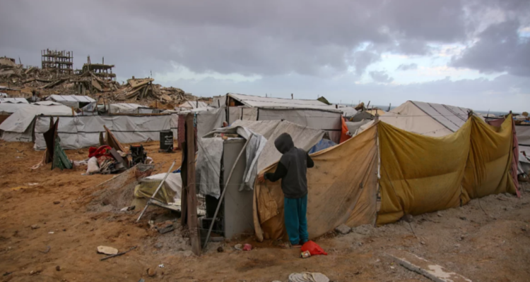 Reportan al menos siete palestinos fallecidos por ataques del ejército israelí