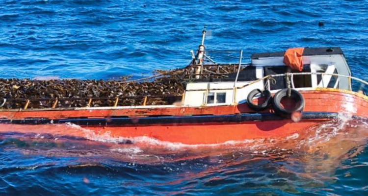 Rescatan ilesos a cinco tripulantes tras volcamiento de lancha Victoria II en golfo Corcovado