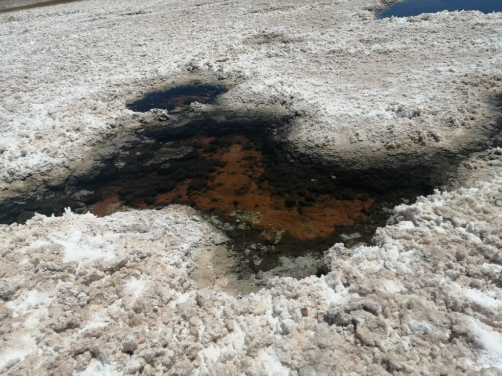 Foto del salar de LLamara