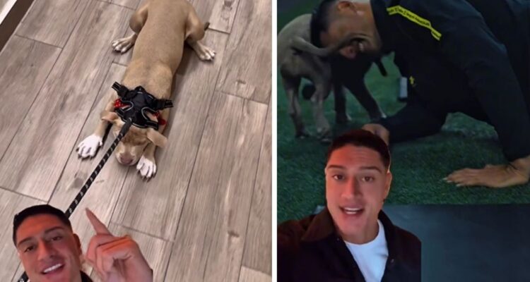 Sammis Reyes explica video en que lo acusan de “maltratar” a perrita: “Las RRSS no son lo que parecen”
