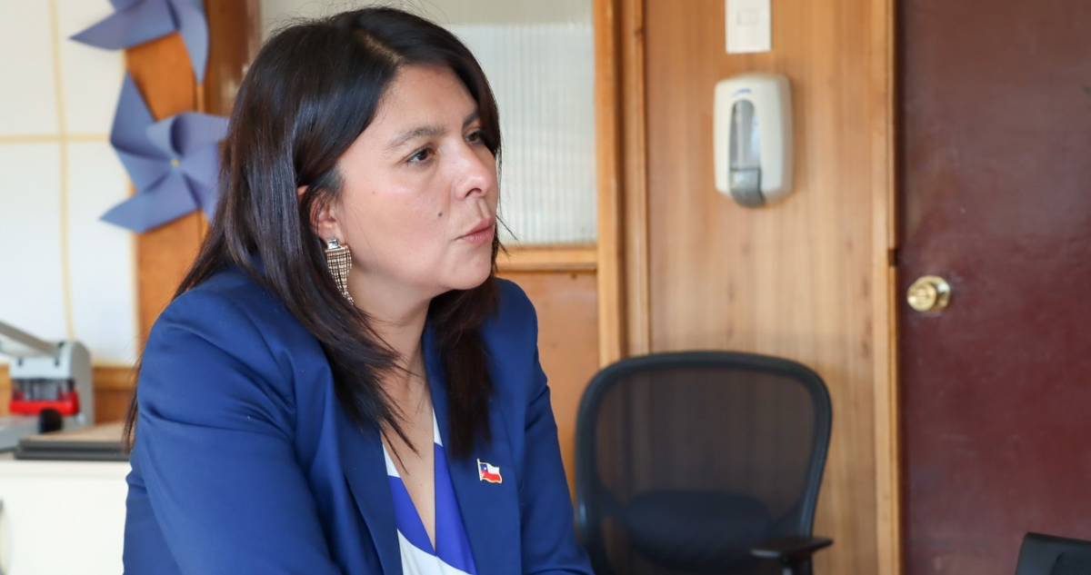 Seremi de la Mujer Los Lagos