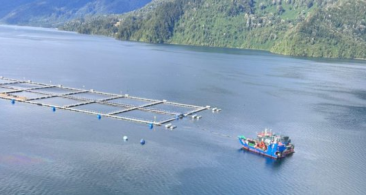 Sigue en incógnita quién reflotará el catamarán hundido que dejó 6 muertos en Reloncaví