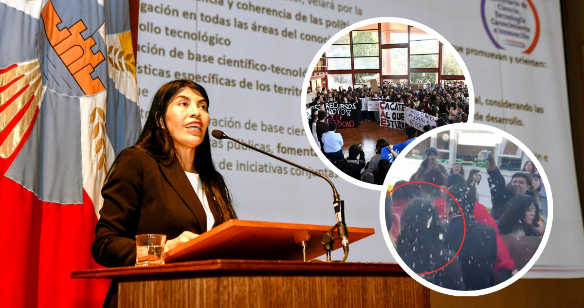 Ministra Lincolao y fotos de protesta y agresión en su contra.
