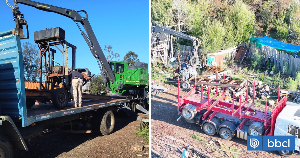 Detienen a hombre por usurpar predio de Forestal Arauco en Curanilahue: tenía casa y aserradero