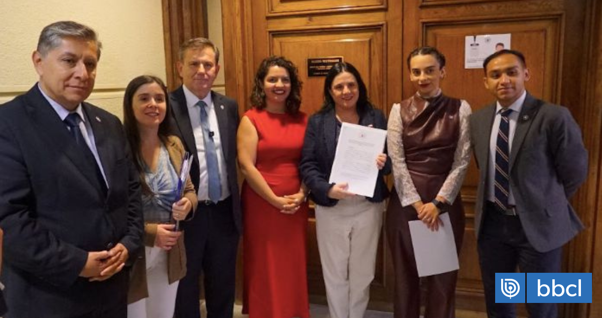 Diputados republicanos entregan propuestas a ministra Steinert para crear Rol Único de Vándalos