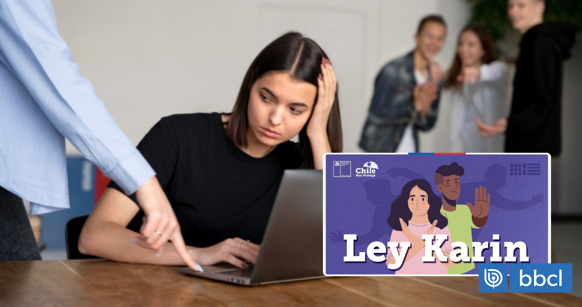 Gobierno retira trámite de modificación de Ley Karin: Ejecutivo defiende y explica decisión