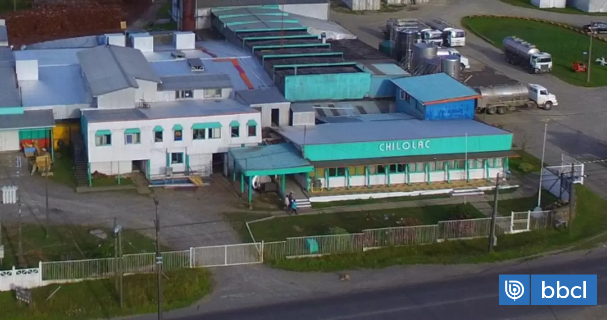 Histórica lechera Chilolac avanza a liquidación y extrabajadores denuncian meses sin sueldo