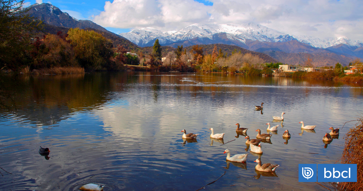 Tras dichos de Poduje: Qué dice la Ley de Humedales Urbanos ¿Es viable construir sobre ellos?