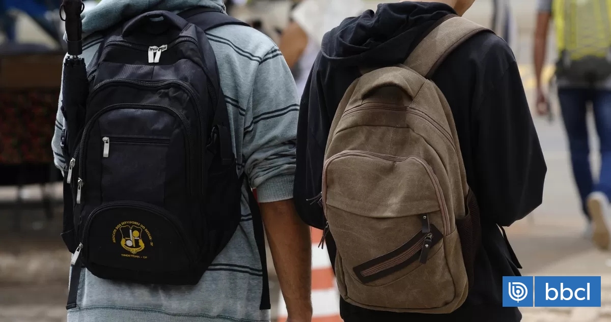 Violencia en los colegios: experto plantea que "los hechos graves son pocos" y llama a no alarmar