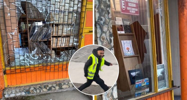 Sujeto que promovió escuela nazi en Ancud atacó con chuzo a dueño de librería y causó daños en recinto