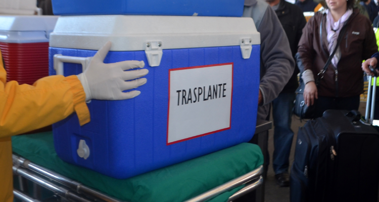 Familia respetó voluntad de ser donante: con éxito se realizó procuramento de órganos en Los Ángeles