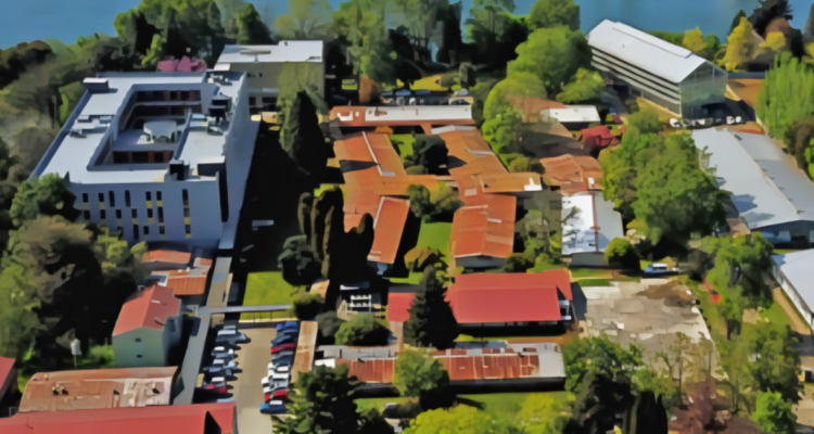 ARCHIVO | Captura de pantalla | Universidad Austral de Chile