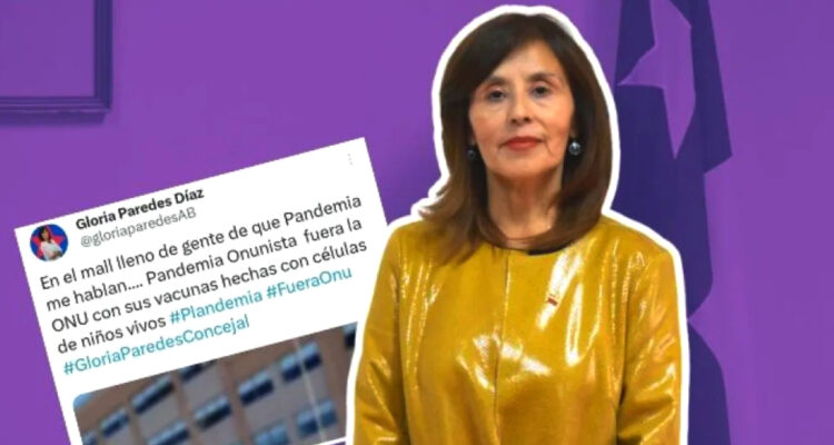 "Vacunas con células de niños vivos": reflotan polémico posteo de nueva seremi de Bienes Nacionales