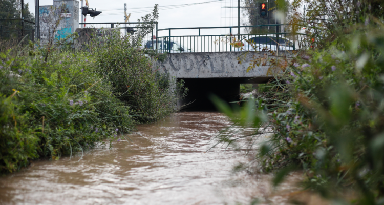 Vecinos acusan contaminación de canal en sector Petorquita de Hijuelas: causaría náuseas y mareos
