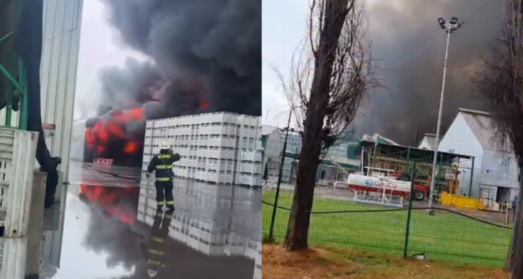 VIDEO | Gigantesco incendio afecta a planta agrícola en El Monte