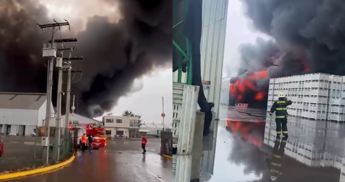 VIDEO | Gran incendio en El Monte afecta a 4 bodegas y consume 2 mil toneladas de cáscaras de nueces