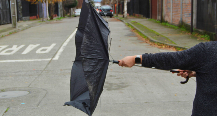 Rachas de hasta 60 Km/h: emiten aviso meteorológico por viento para 2 regiones del país